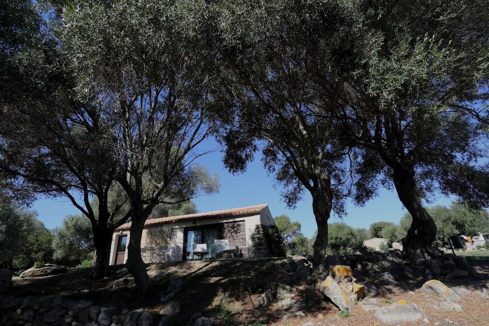 Penzion Liscia Country Relais Sant'Antonio di Gallura Exteriér fotografie