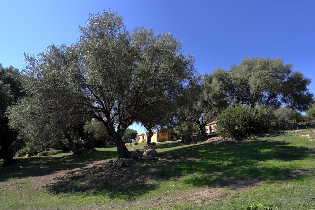 Penzion Liscia Country Relais Sant'Antonio di Gallura Exteriér fotografie