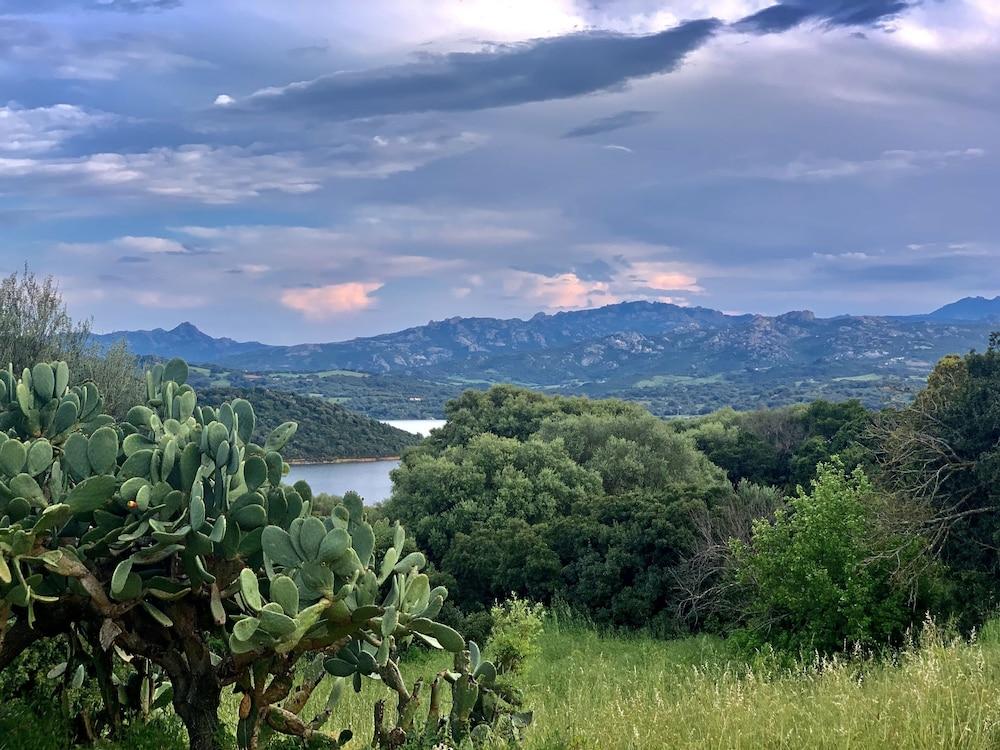 Penzion Liscia Country Relais Sant'Antonio di Gallura Exteriér fotografie
