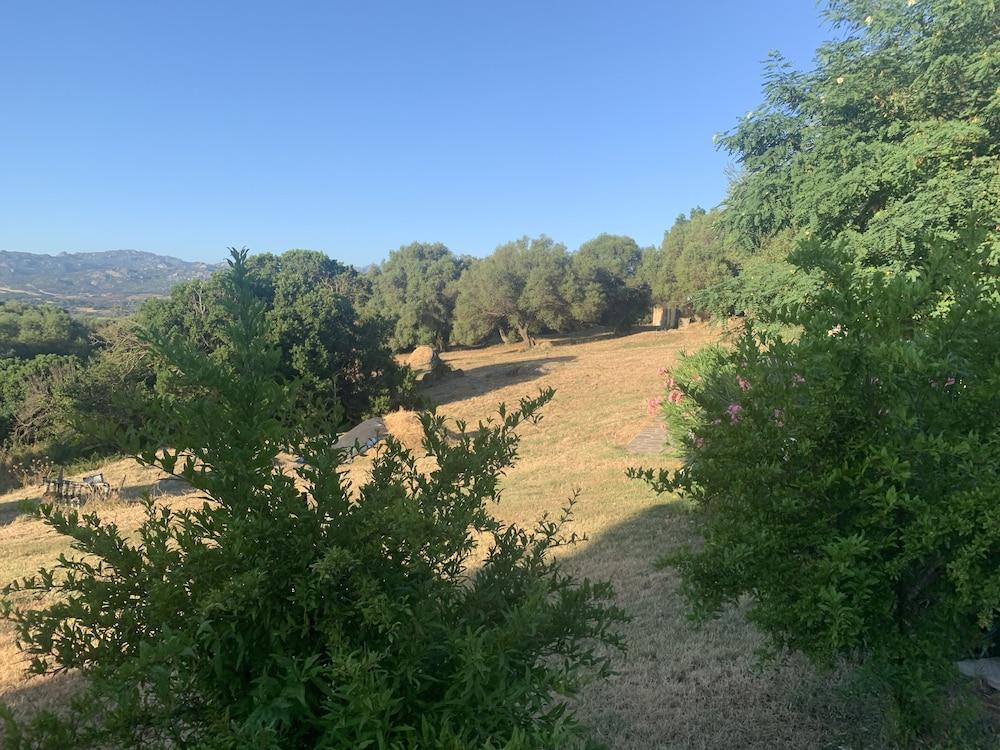 Penzion Liscia Country Relais Sant'Antonio di Gallura Exteriér fotografie