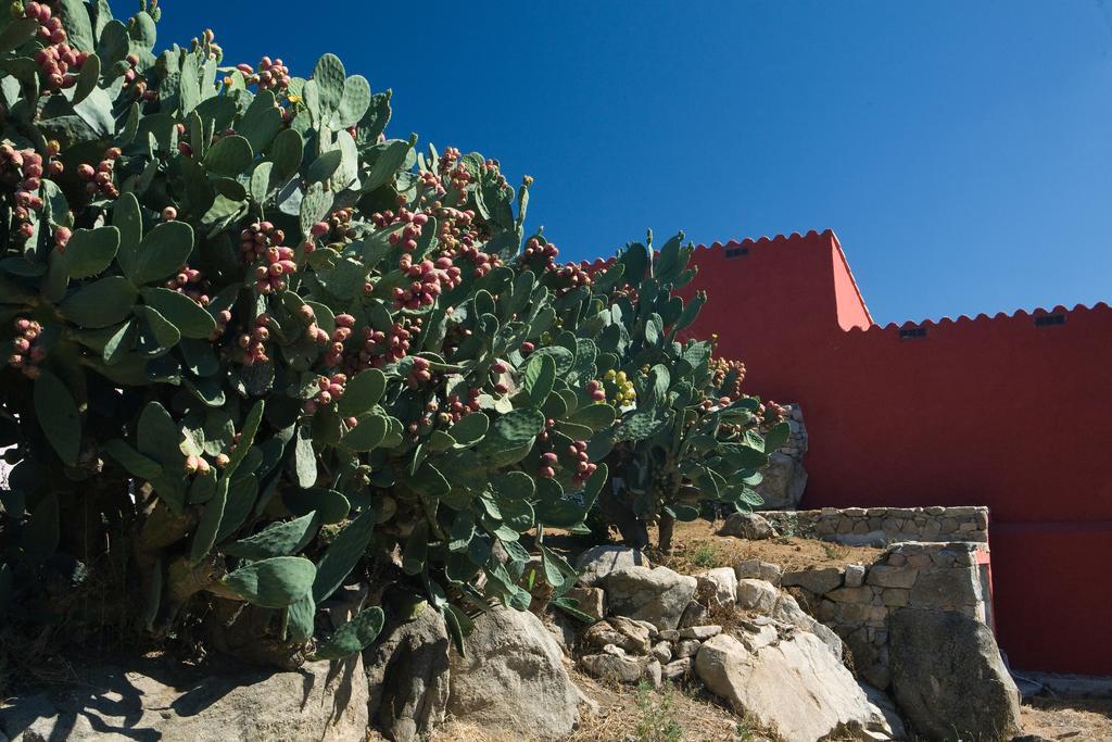 Penzion Liscia Country Relais Sant'Antonio di Gallura Exteriér fotografie