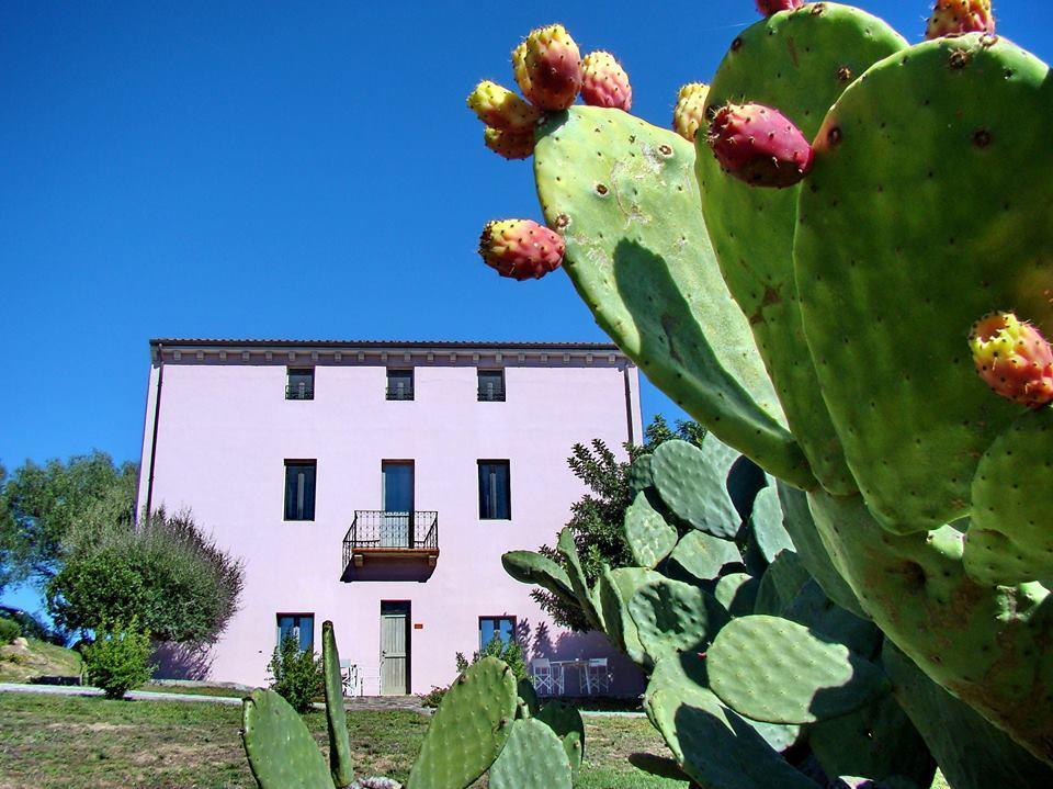 Penzion Liscia Country Relais Sant'Antonio di Gallura Exteriér fotografie